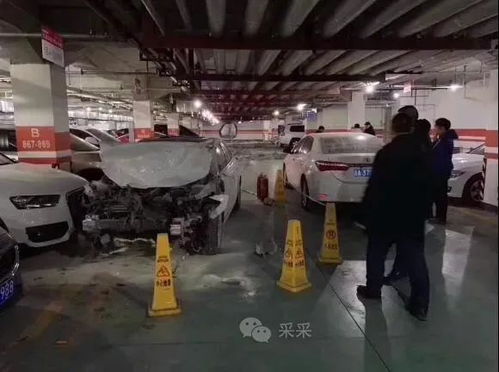 驾校教练到底有多会？哈哈哈这嘴我真的服了——长春驾校生存指南